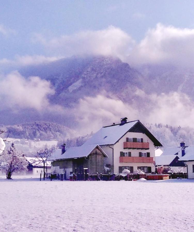 Haus Moni Bad Goisern Exterior foto